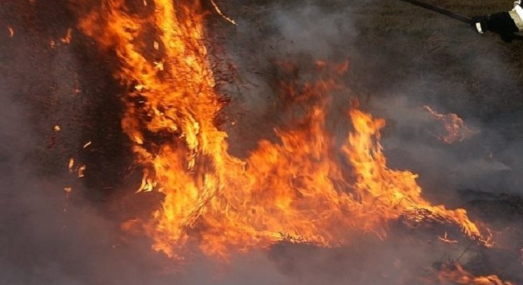 Gaszenie pożaru trawy w Mikołowie przy użyciu tłumicy